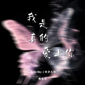 我是真的爱上你 (回声天际)