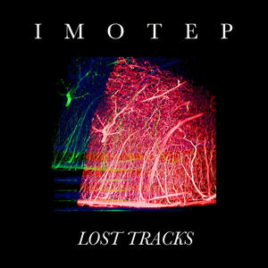 LOST TRACKS