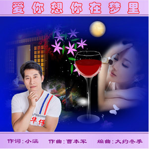 爱你想你在梦里 (舞曲版)