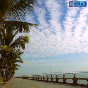 心灵之声（轻音乐治愈钢琴曲）封面