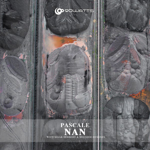 NAN (Meeshoo Remix)
