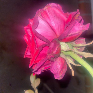 Now vol 6 (feat. Upr!ze) (Explicit)