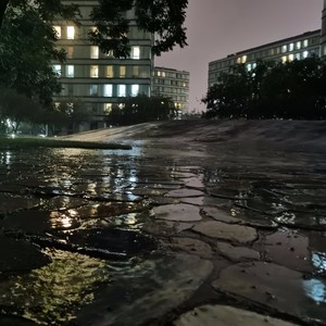 雨，或是世界的窗帘