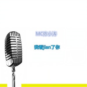 我看贱了你 (KTV版伴奏)