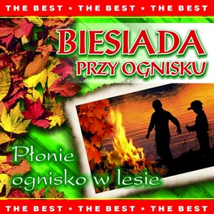 Biesiada przy ognisku - płonie ognisko w lesie