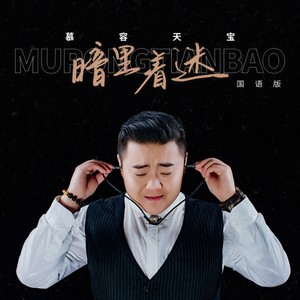 暗里着迷 (国语版伴奏)封面
