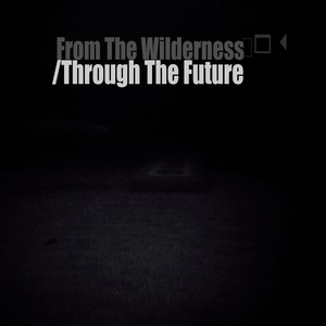 From The Wilderness/Through The Future