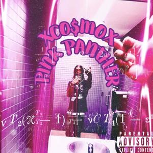 PINK PANTHER (Explicit)