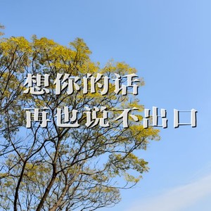 想你的话再也说不出口