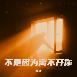 不是因为离不开你 (伴奏)