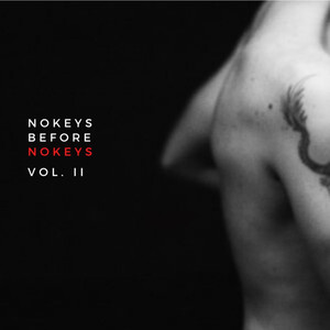 Nokeys Before Nokeys, Vol. 2