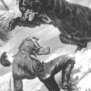 Reasonable (Explicit)