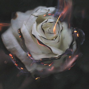 Never Gonna Give You Up