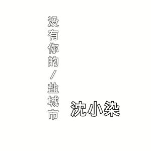没有你的盐城市