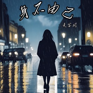 麦客风 - 身不由己