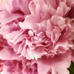 喜事盈门（中国教育电视台春晚）