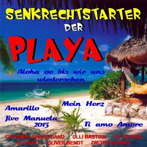 Senkrechtstarter der Playa