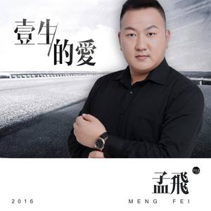 一生的爱-孟飞
