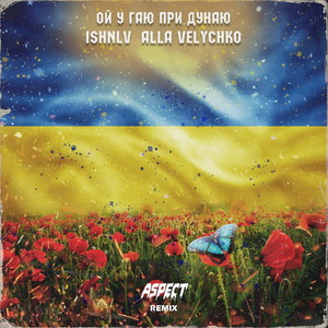 Ой у гаю при Дунаю (Aspect Remix)