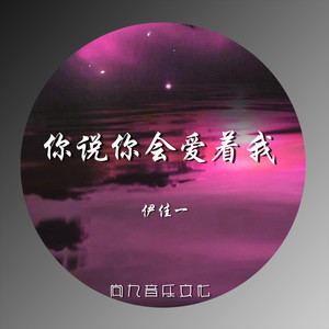 你说你会爱着我 (伴奏)