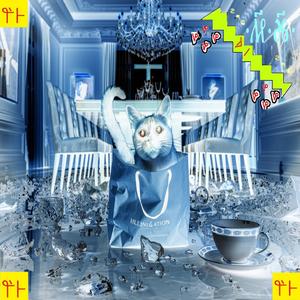 The Cat's Out Of The Bag / TLDR (Explicit)