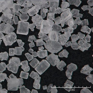 See Through (feat. AceZ) (Explicit)