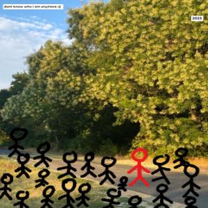 interent opinions (Explicit)