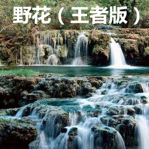 囍 (王者版)