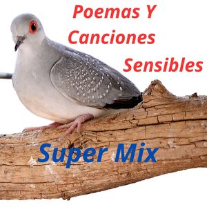 Super Mix Poemas y Canciones Sensibles