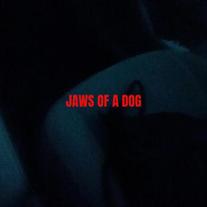 JAWS OF A DOG