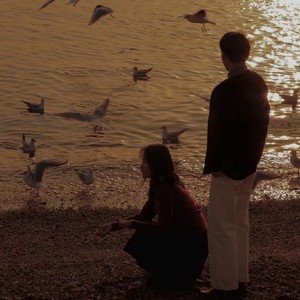 Shape of You (Remix)