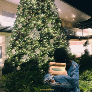 otro diciembre (Remix)