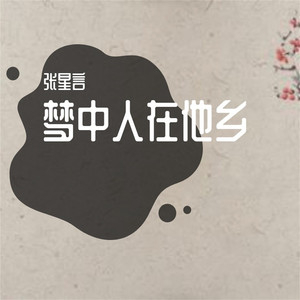梦中人在他乡 (伴奏)