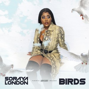 Birds (Explicit)