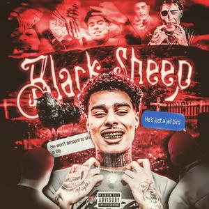 Black Sheep (Explicit)