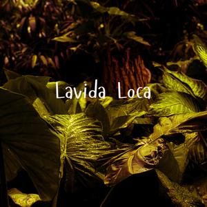 Lavida Loca (Remix|Explicit)