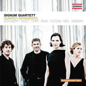 Quartettsatze (Quartet Movements) - WOLF, H. / PUCCINI, G. / ORFF, C. / IVES, C. / RIHM, W. / SCHUBERT, F. / WEBERN, A. (Signum Quartet)