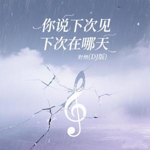 你说下次见下次在哪天 (DJ版)