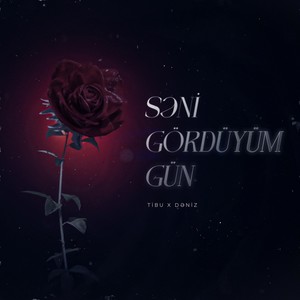 Səni Gördüyüm Gün