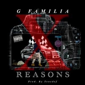 X REASONS (Explicit)