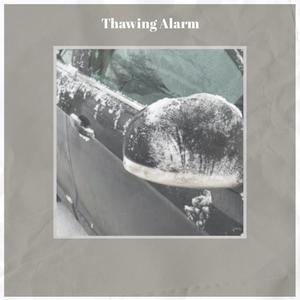 Thawing Alarm