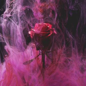 AMORE OSTACOLATO (feat. Anto) [Explicit]