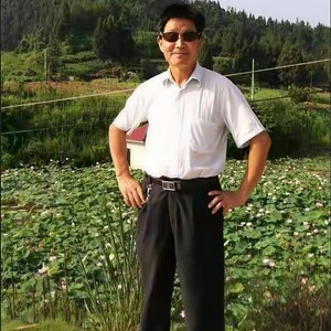 究竟是为什么