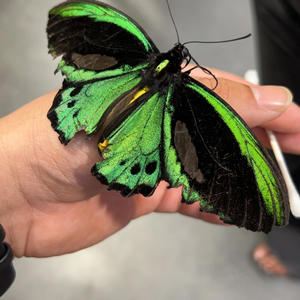 Gun Rays On Mars (feat. Lotto & Stakks) (Explicit)