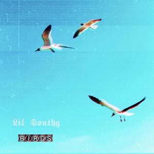 Lil Southg Presents - BIRDS (Explicit)