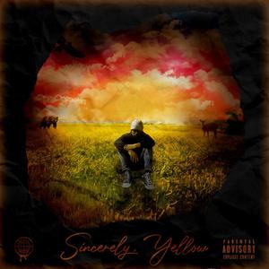 Stupid Love (feat. Saucesano'o & BrthrMrk) (Explicit)