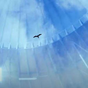 un nuevo amanecer (ASHLEY/ELPADRINO|Explicit)