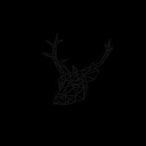 Wild Eyes (Rob Ascough Remix)