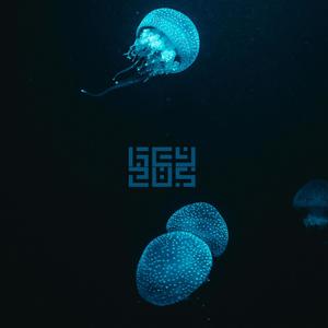 Konstellations(feat. SoFi Beats)