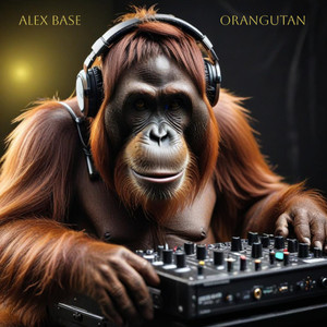 Orangutan